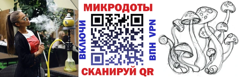 закладка  Новое Девяткино  Галлюциногенные грибы GOLDEN TEACHER 